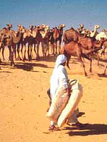Viajes a Egipto