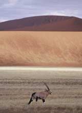 viajes a Namibia-Botswana